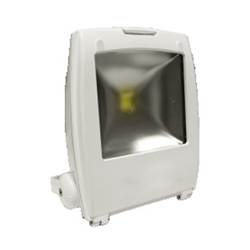 FARO PROIETTORE CON LAMPADA A LED 230v 50W IP65 3000K