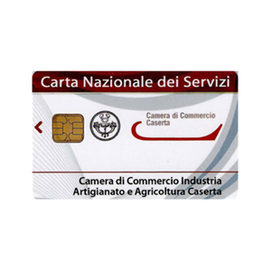 SmartCard + SIM writer reader