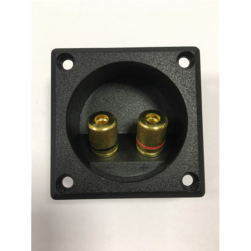 Rechteckschale mit 2 goldenen Klemmen