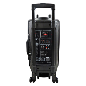 Cassa Amplified X Pa-Docco High Power 700W Com MP3 und Bluetooth + Radiomicrophon + Station mit Trolley