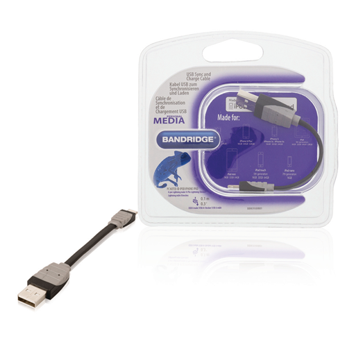Apple Lightning -Synchronisation und -Ladung - 0,10 m schwarze männliche USB