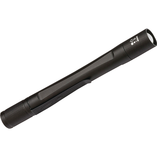 100 lm Torche LED