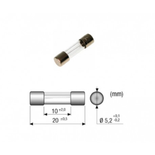 Fusible 5x20 6,300a delayed