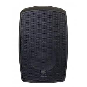 Hochleistungsverstärkter Fall 350 W Peak 10 "mit Bluetooth