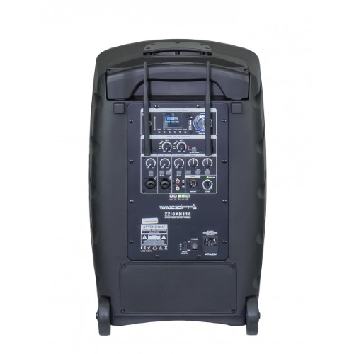 Hochleistungsverstärkter Fall 350 W Peak 10 "mit Bluetooth