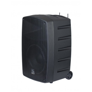 Hochleistungsverstärkter Fall 350 W Peak 10 "mit Bluetooth