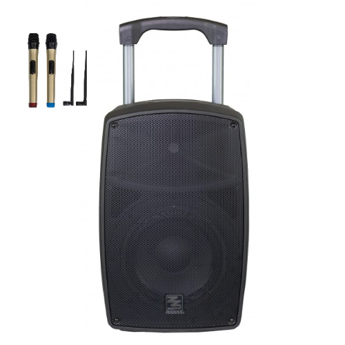 Hochleistungsverstärkter Fall 350 W Peak 10 "mit Bluetooth