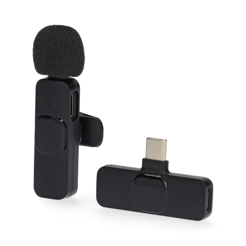 Microfono | Usato per: Bloc notes / Smartphone / Tablet | Senza fili / USB Type-C ™ | USB-C™ Femmina | Interruttore integrato