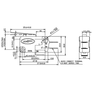 Micro Switch with short levetta 1.4cm