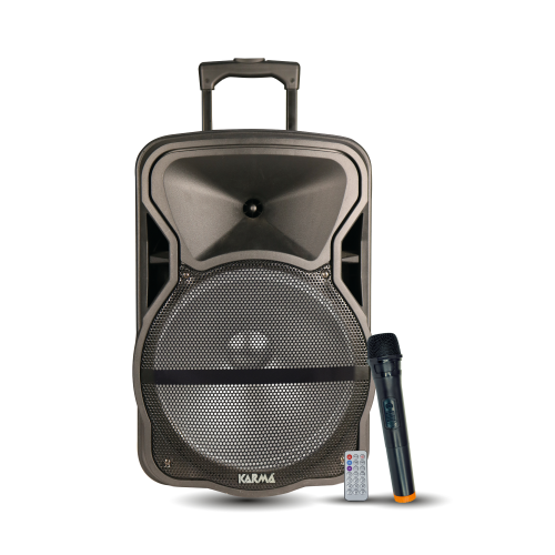 CASSA AMPLIFICATA 12" 2 VIE 600W PMPO MAX 220V-12V + BATTERIA A TROLLEY, MP3 BLUETOOTH, RADIOMICROFONO 